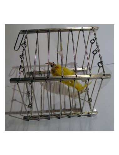 VANISHING BIRD CAGE