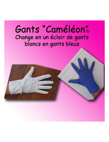 Gants "Caméléon" - blanc/bleu (Valérie)