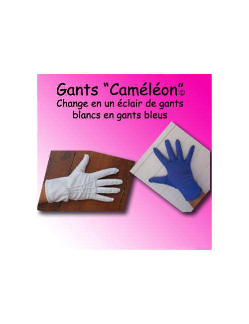 Gants "Caméléon" - blanc/bleu
